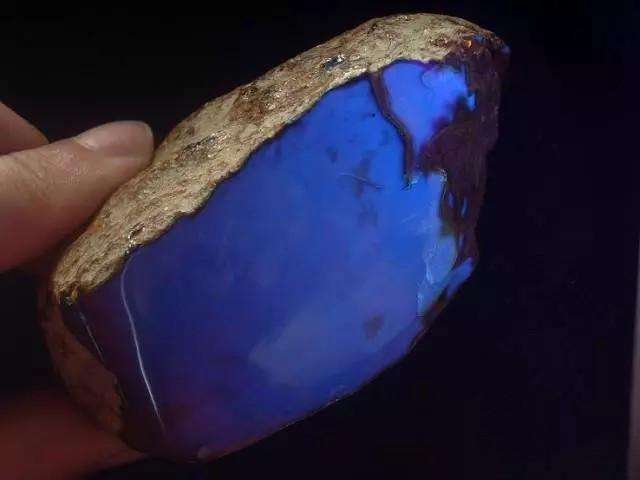 琥珀的市场行情及价格分析  第5张