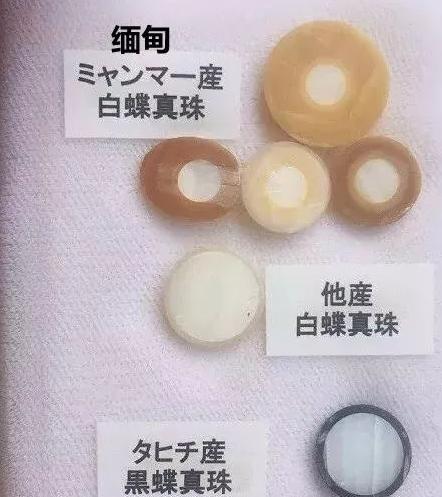 人老珠黄不值钱？看看那些上千年的珍珠  第8张