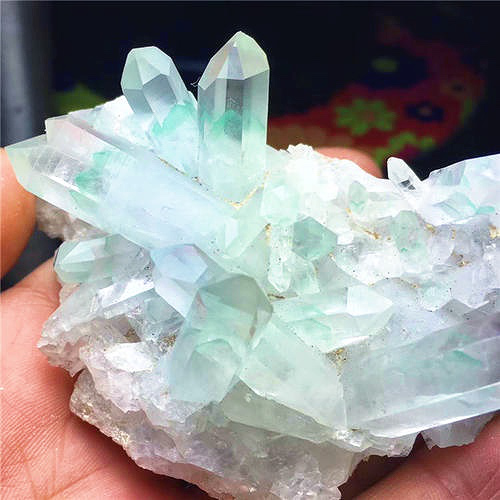 绿幽灵中的贵族——翠幽灵，一问世便宣布开采完毕!  第3张