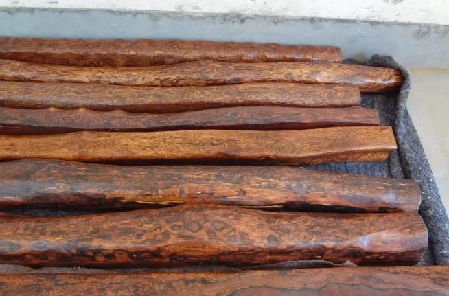 价值几个亿的木头——海南黄花梨木  第5张