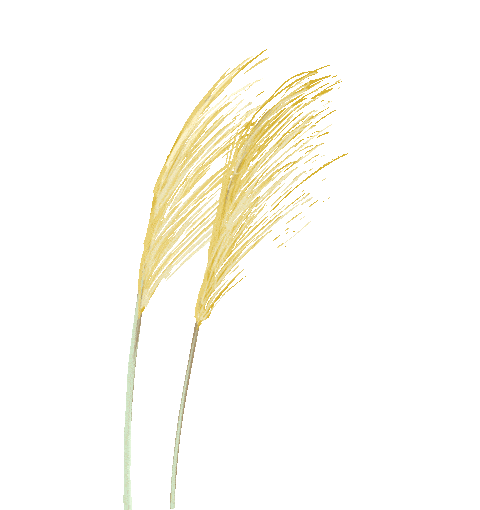 翡翠谷手镯中国四大名玉竟有两个版本？！绿松石和蓝田玉之争谁能更胜一筹？  第2张