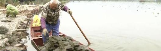 翡翠手镯有竖纹珠宝行业不景气，珍珠为何变珍贵？  第1张