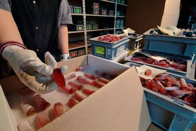 种老翡翠原石特征想到国外买珠宝玉石？小心被坑死！  第12张