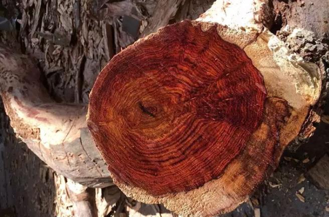 翡翠手镯石纹和裂纹海南花梨之花梨公和花梨母  第7张