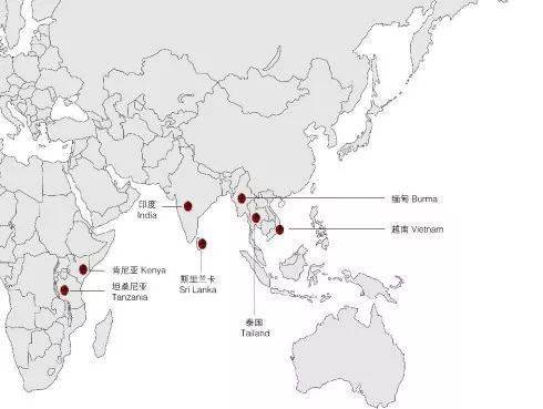 不同产地的红宝石值得深究一下！  第2张