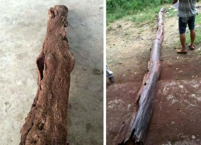 翡翠手镯石纹和裂纹海南花梨之花梨公和花梨母  第3张