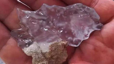 什么是翡翠中的木那料？木那料有什么特点？市场价值如何？  第14张