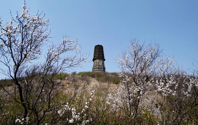 玛瑙第一镇：疫情后生意惨淡，水胆玛瑙白菜价，玛瑙这行业怎么了  第1张