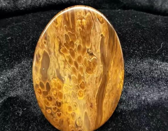 现在文玩市场又出现一种新的玉石——桫椤玉  第13张