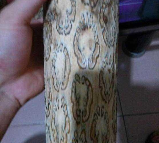 现在文玩市场又出现一种新的玉石——桫椤玉  第10张