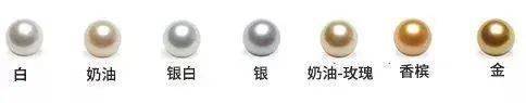 南洋珍珠为什么这么贵  第5张