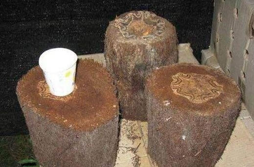 现在文玩市场又出现一种新的玉石——桫椤玉  第9张