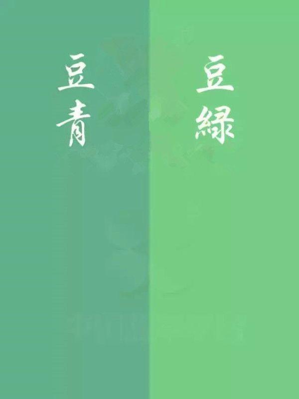 豆种翡翠就是低端翡翠吗？有的豆种比玻璃种还贵呢！  第16张