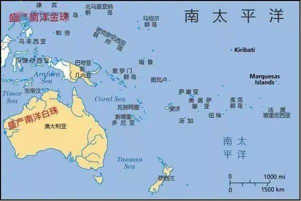 南洋珍珠为什么这么贵  第15张