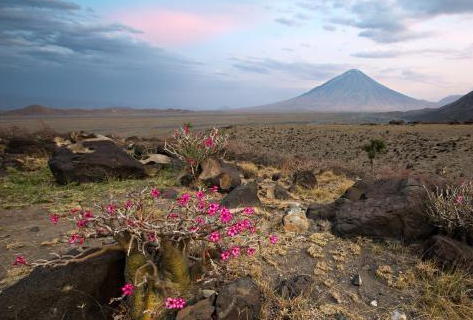 买翡翠手镯的彩宝界最具升值潜力的姐妹花——坦桑石与沙弗莱石  第1张
