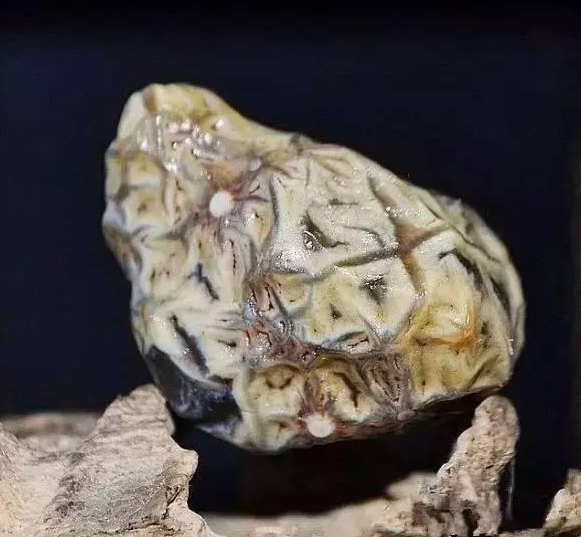 天然宝石界的上升黑马——戈壁玛瑙！  第1张