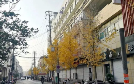 广东四会翡翠网购相王弄风波后，玉石收藏市场或将发力  第3张