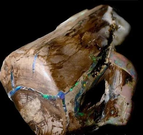 尸体可以变成闪闪发亮的宝石？  第7张