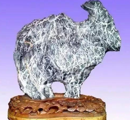 水石 翡翠 原石奇石绵羊卖了450万！这14只羊不服了！  第13张