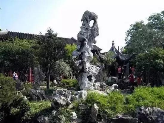 58万，奇石萝卜卖出人参价！  第1张