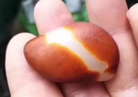 6万一克的玉石到底长啥样？籽料还能涨多高？  第1张