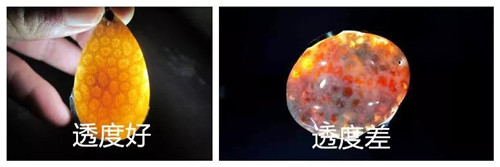 什么样的珊瑚玉更具有价值呢？  第5张