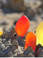 阿德青玉“金丝玉“竟那么值钱？  第1张