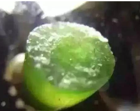 翡翠能承受多少度的高温，说出来吓你一跳   第8张