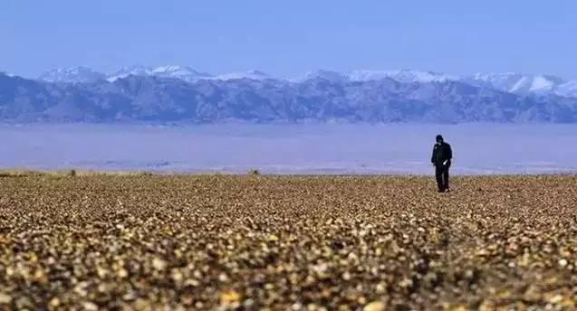 阿德青玉“金丝玉“竟那么值钱？  第6张