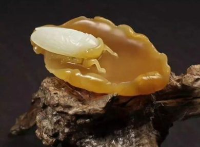 文玩圈的“屌丝逆袭”，现在成为文玩人的新宠！  第3张