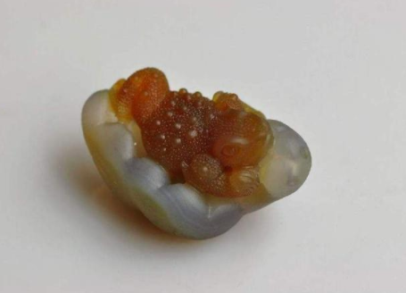 这6种美得不像话的玛瑙，你见过几种？  第4张