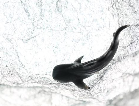 有色玉种 | 或将成为2020年和田玉市场的“主力军”？  第4张