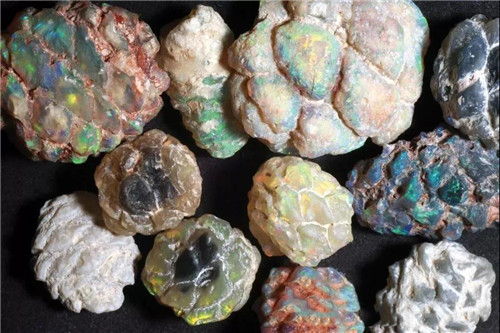 尸体可以变成闪闪发亮的宝石？  第5张