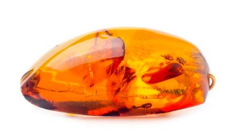 琥珀和蜜蜡哪个贵？  第3张