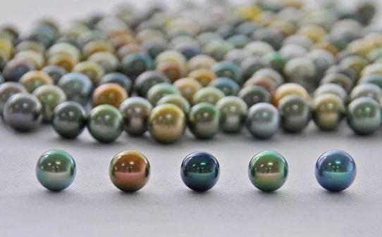 谁说黑珍珠只有黑色？  第1张