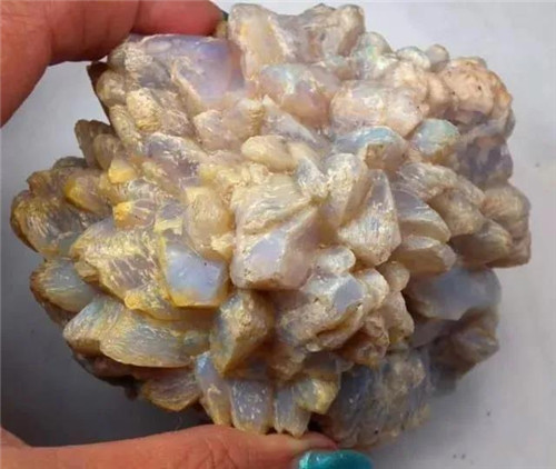 尸体可以变成闪闪发亮的宝石？  第6张