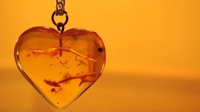 翡翠手镯横纹纵纹为什么人们愿意收藏琥珀？琥珀的真伪要如何鉴别？  第5张