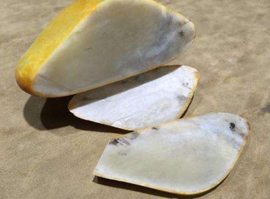 和田玉的籽料价格急剧上升，满级和田玉大料，才是收藏的利器！  第13张