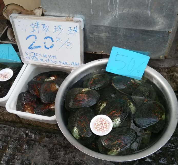 冰种翡翠手镯有石纹像什么样开蚌现取珍珠，真的是天然珍珠吗？值得花钱购买吗？  第1张