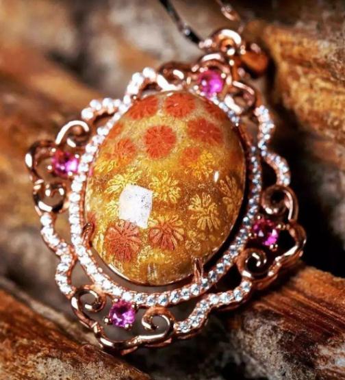 珊瑚玉的这4大魅力才是真正物超所值！  第2张