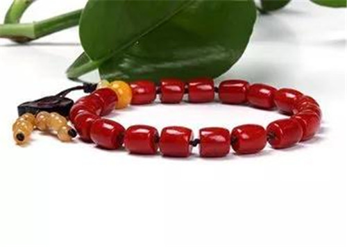 什么样的珊瑚玉更具有价值呢？  第1张