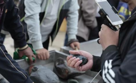 疫情之下，和田玉市场涨跌的最新变化来了  第5张