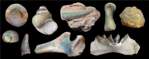 尸体可以变成闪闪发亮的宝石？  第2张