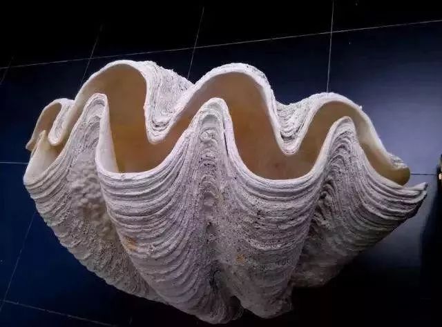 清代官员帽子最高处那颗"顶珠"，到底有多值钱  第6张