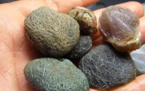 这些玛瑙越丑越值钱！  第6张