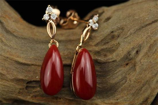 什么样的红珊瑚很值钱？  第4张