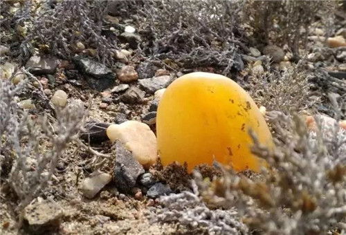 金丝玉有什么价值？  第4张