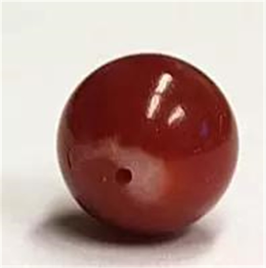 珊瑚品种究竟哪个价值更高呢？  第6张