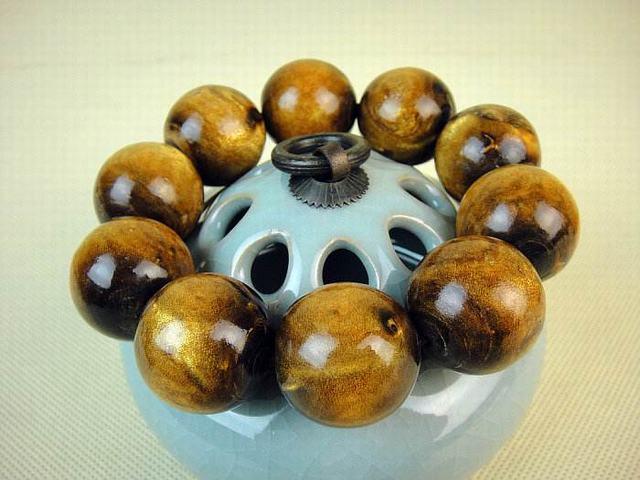 看一眼就着迷，盘一下就上瘾的海柳！  第1张