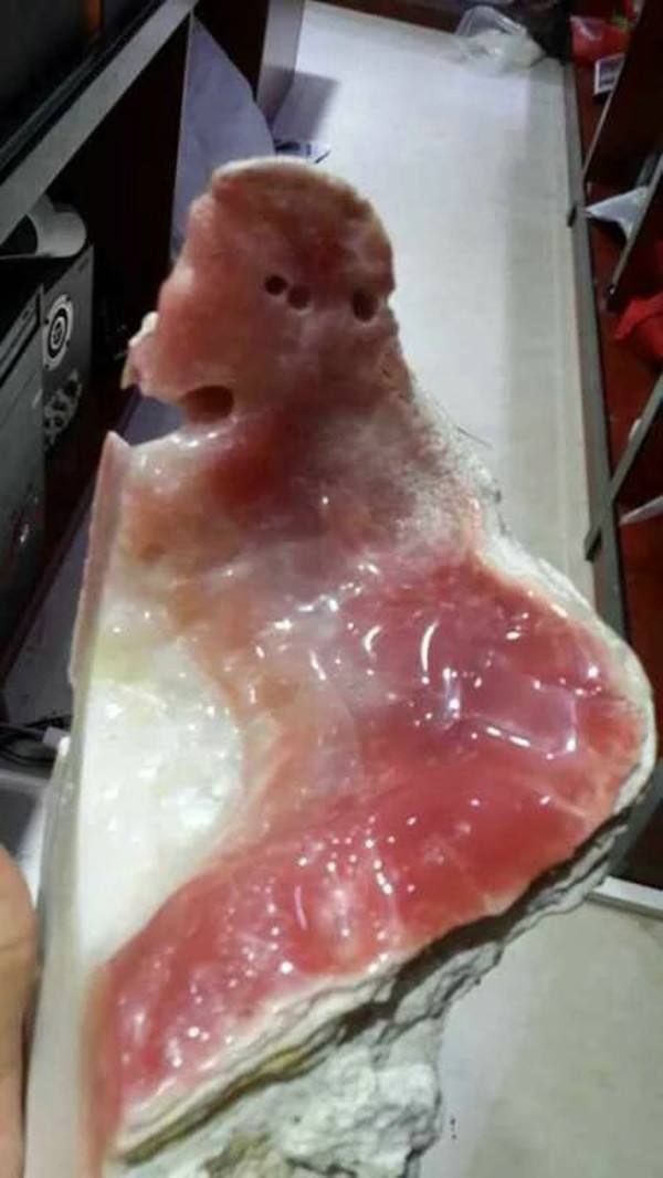 翡翠串珠项链编织教程为什么血砗磲可以卖的这么贵？  第5张